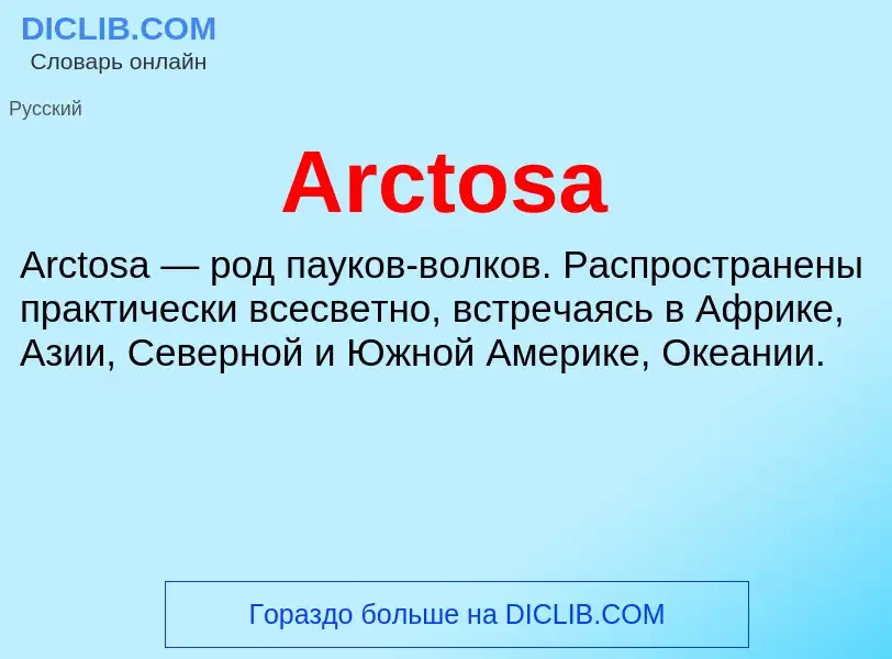 What is Arctosa - definition