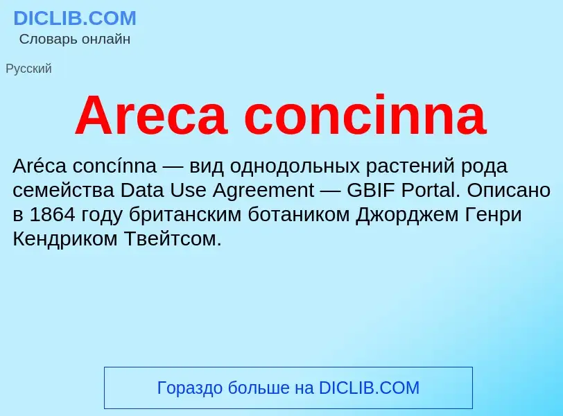 What is Areca concinna - definition