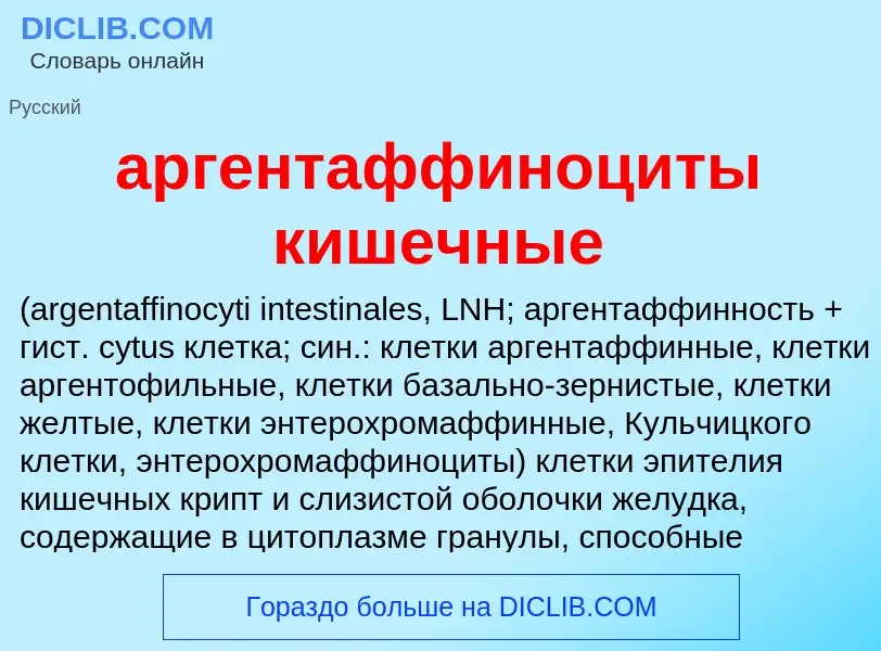 Che cos'è аргентаффиноциты кишечные  - definizione