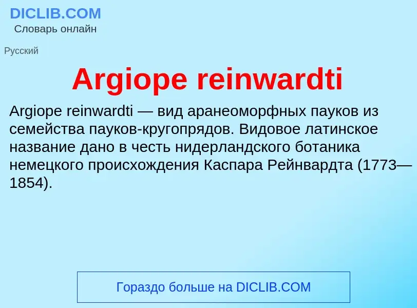 What is Argiope reinwardti - definition