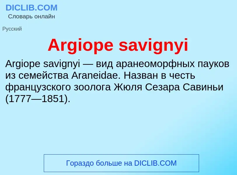 What is Argiope savignyi - definition