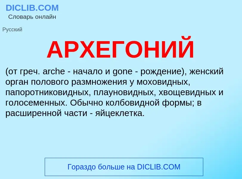 What is АРХЕГОНИЙ - definition