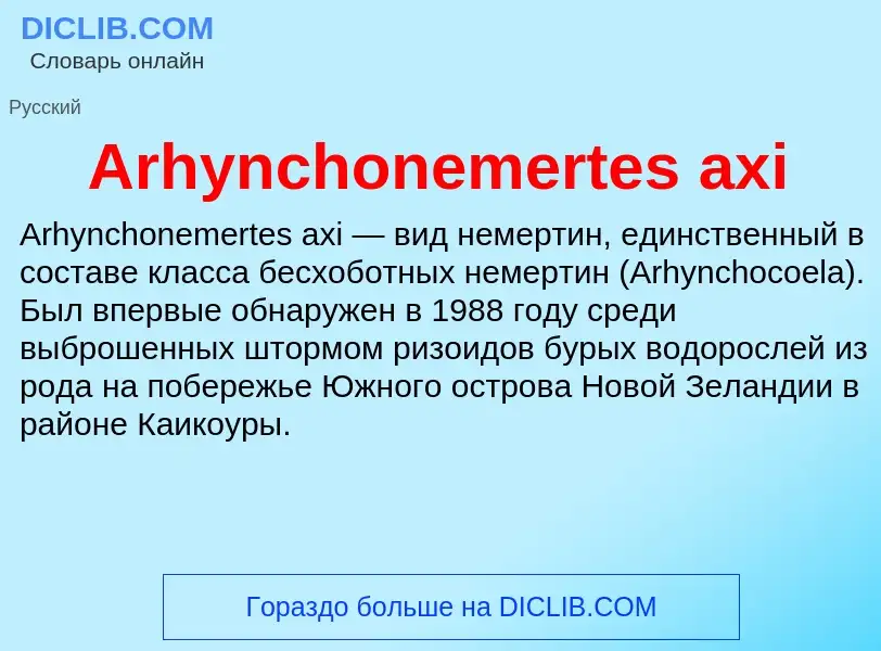 What is Arhynchonemertes axi - definition