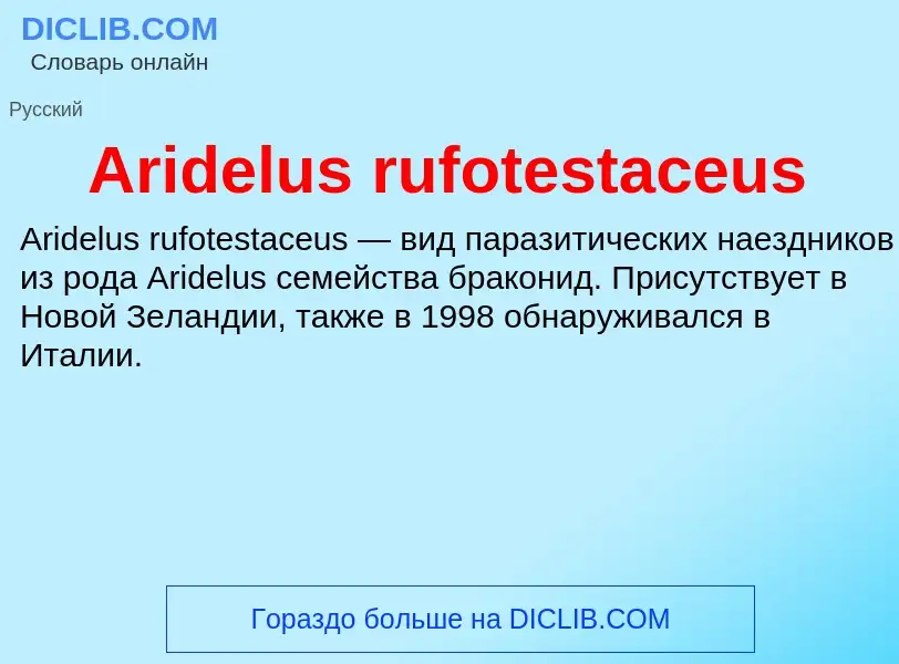 What is Aridelus rufotestaceus - definition