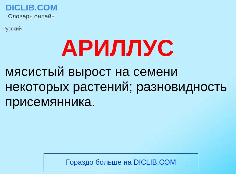 Was ist АРИЛЛУС - Definition