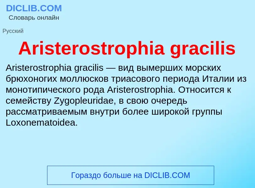 What is Aristerostrophia gracilis - definition