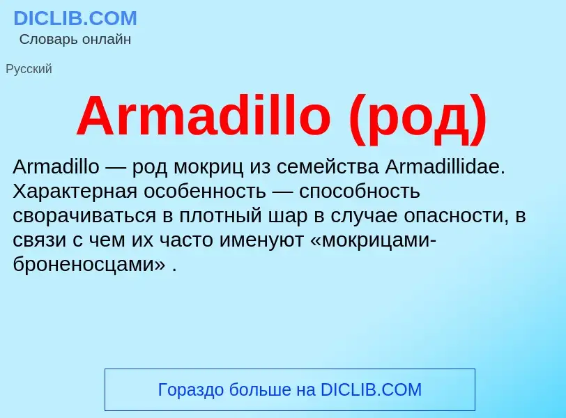 What is Armadillo (род) - definition