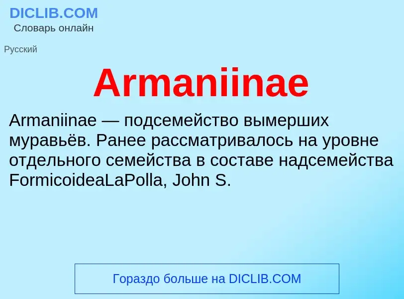 What is Armaniinae - definition