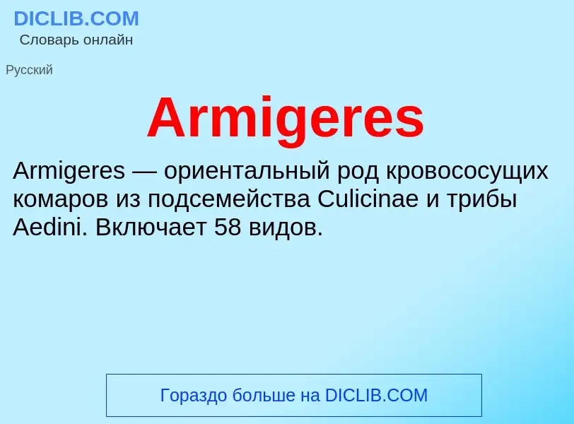 What is Armigeres - definition