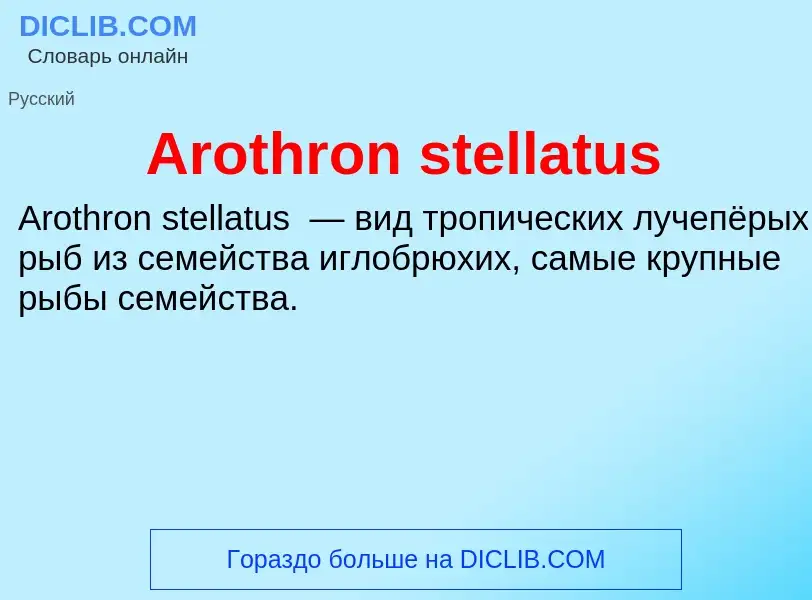 What is Arothron stellatus - definition