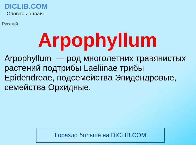 What is Arpophyllum - definition