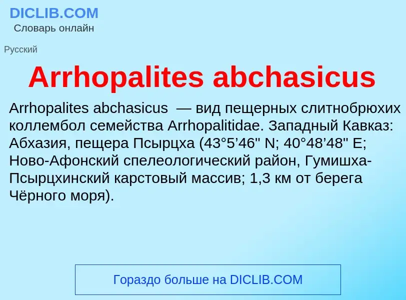 What is Arrhopalites abchasicus - definition