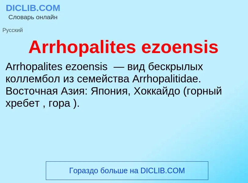 What is Arrhopalites ezoensis - definition