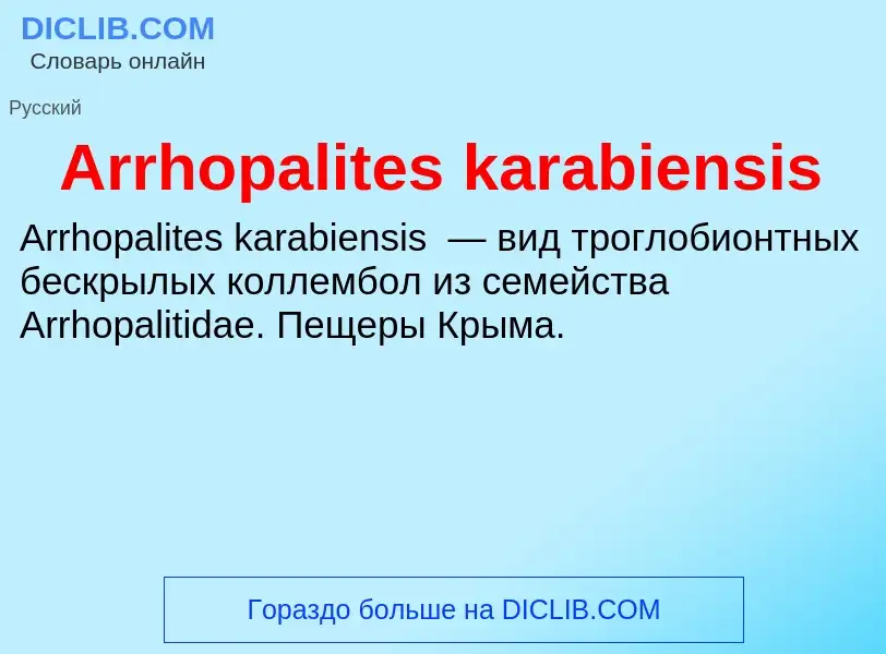 What is Arrhopalites karabiensis - definition