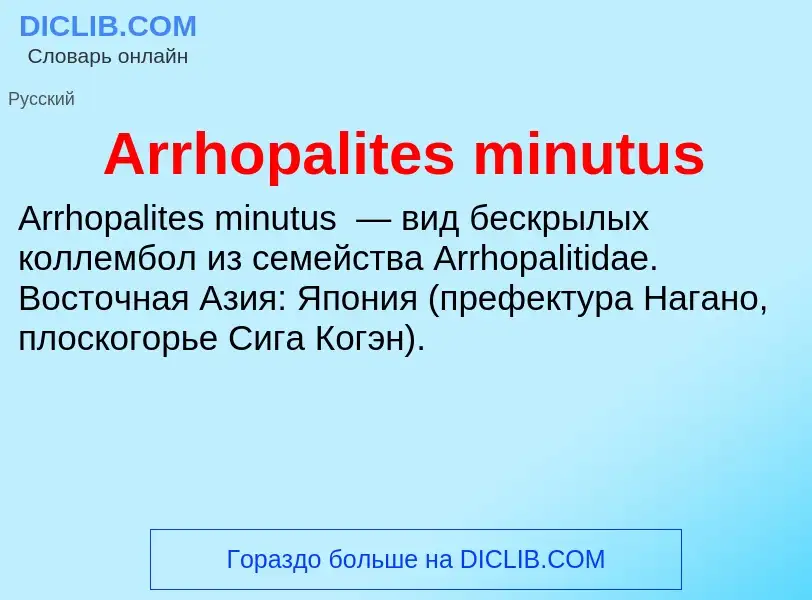 What is Arrhopalites minutus - definition