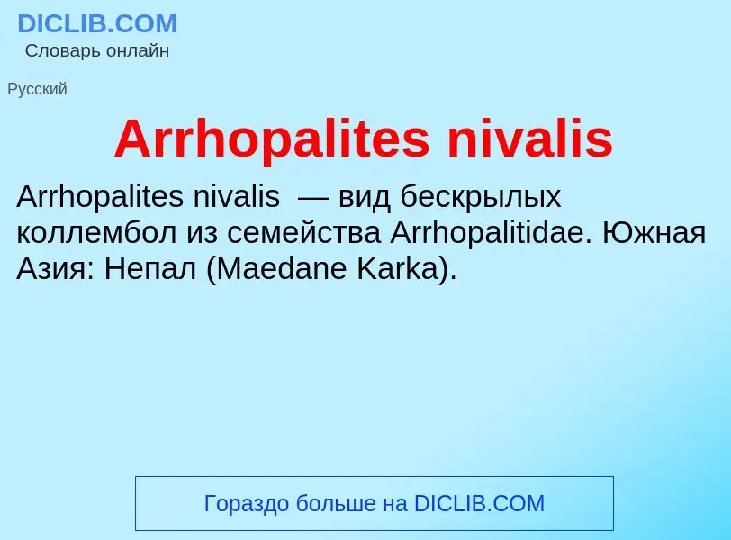 What is Arrhopalites nivalis - definition