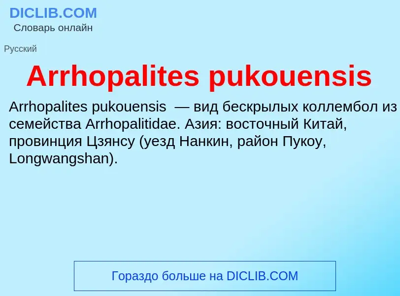 What is Arrhopalites pukouensis - definition