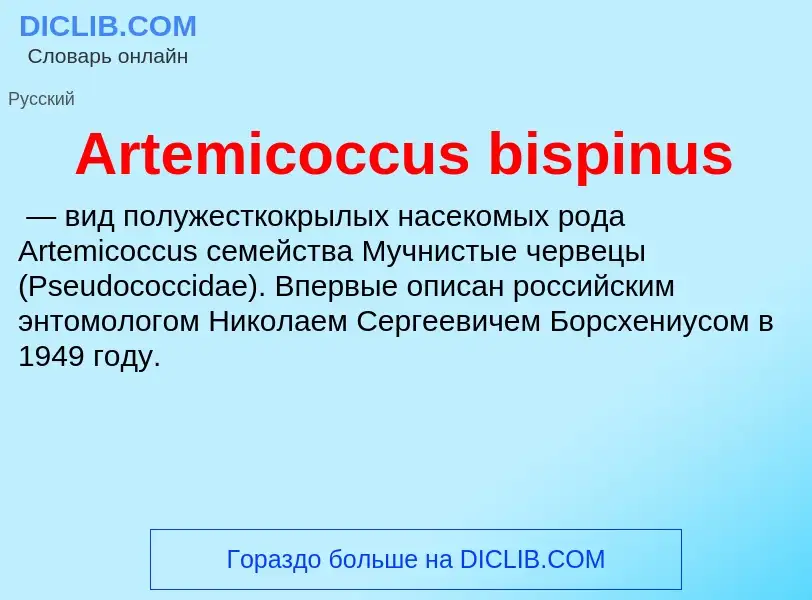 What is Artemicoccus bispinus - definition