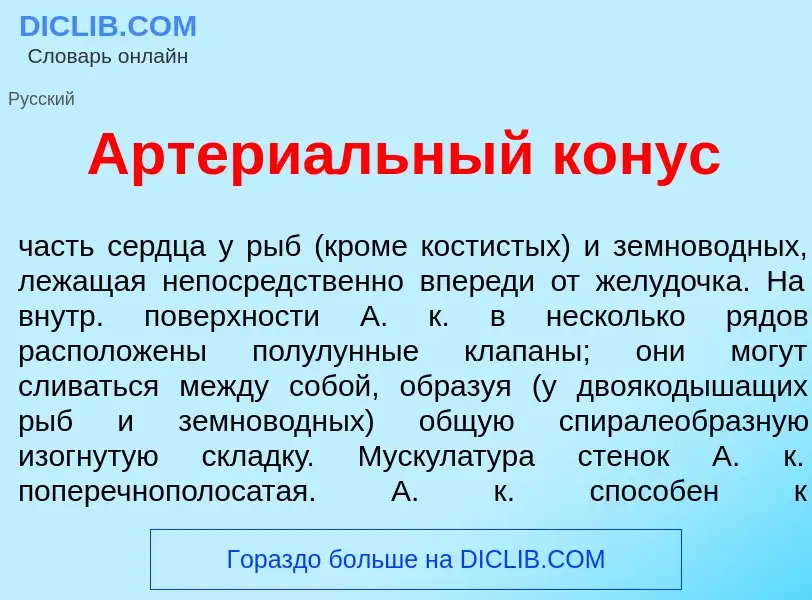 What is Артери<font color="red">а</font>льный к<font color="red">о</font>нус - definition