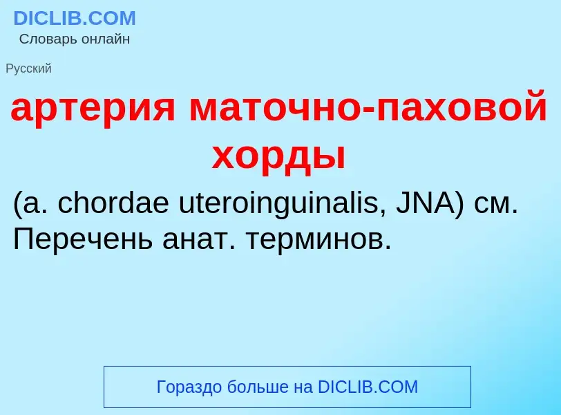 Che cos'è артерия маточно-паховой хорды  - definizione