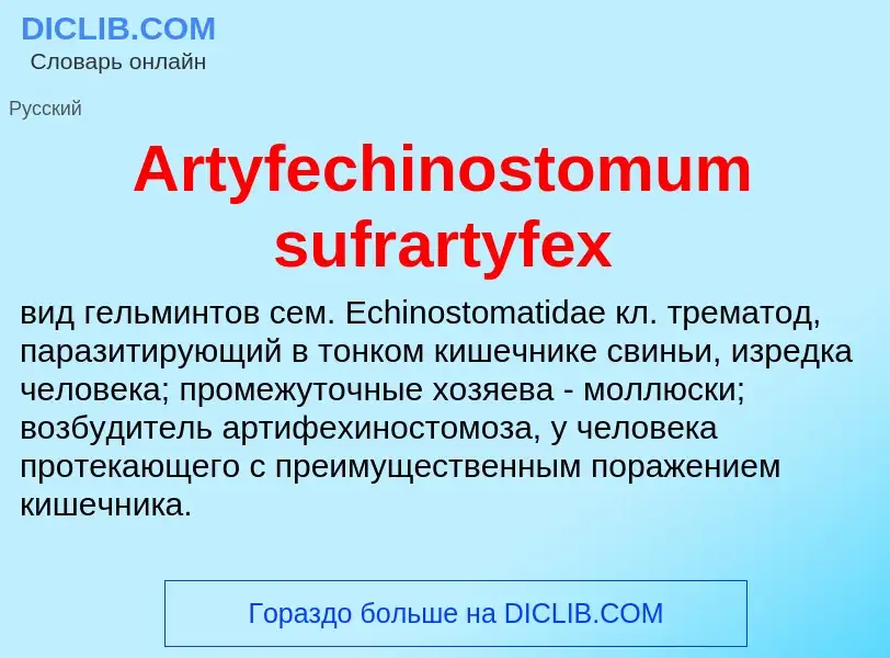 What is Artyfechinostomum sufrartyfex - definition