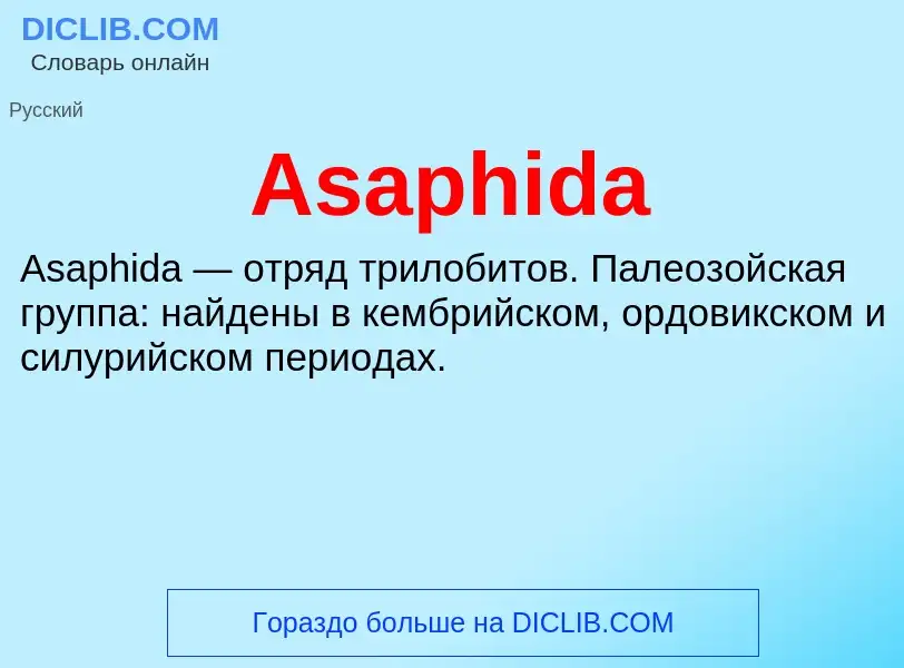 What is Asaphida - definition