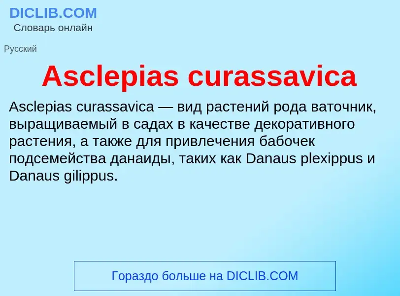 What is Asclepias curassavica - definition