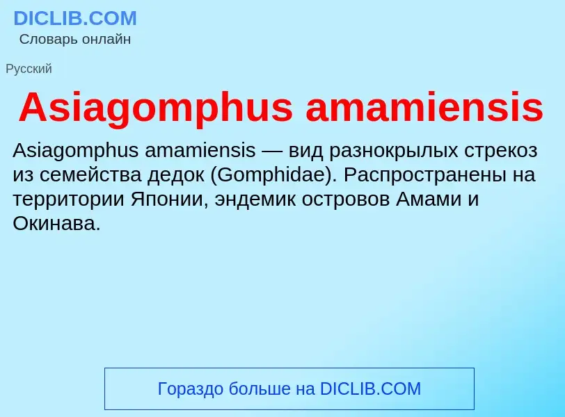 What is Asiagomphus amamiensis - definition