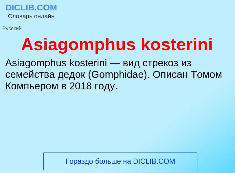 What is Asiagomphus kosterini - definition