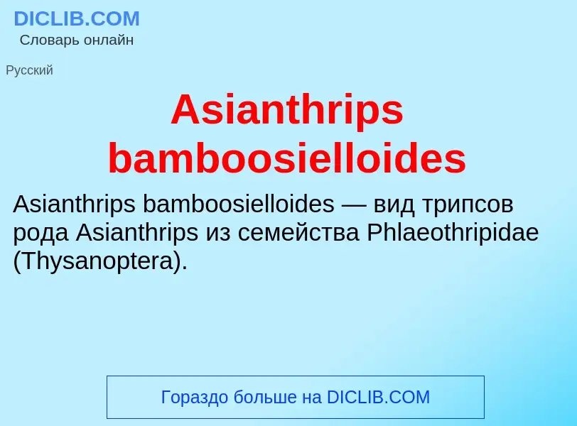 What is Asianthrips bamboosielloides - definition