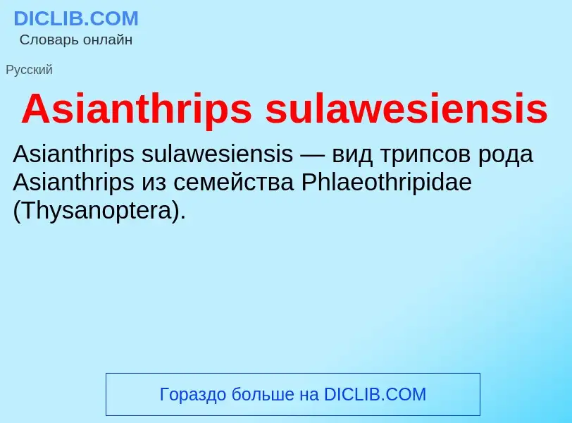 What is Asianthrips sulawesiensis - definition