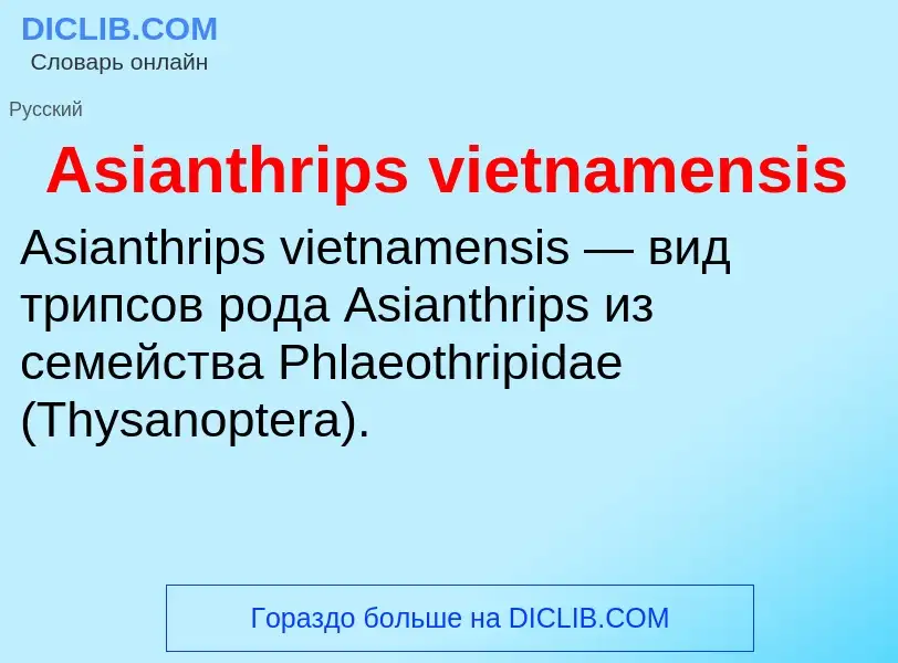 What is Asianthrips vietnamensis - definition