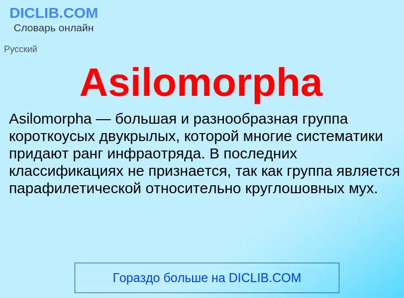 What is Asilomorpha - definition