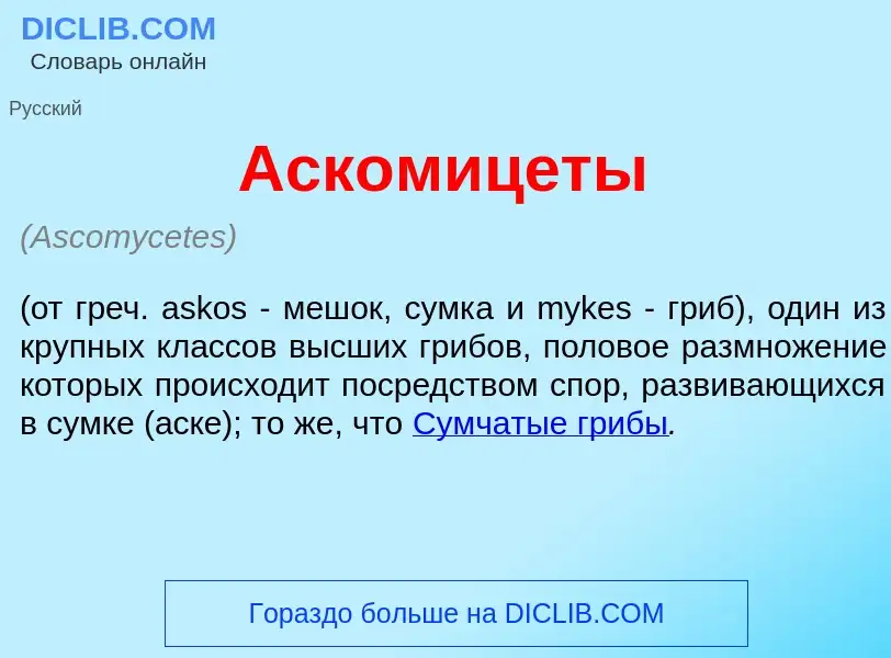 Что такое Аскомиц<font color="red">е</font>ты - определение