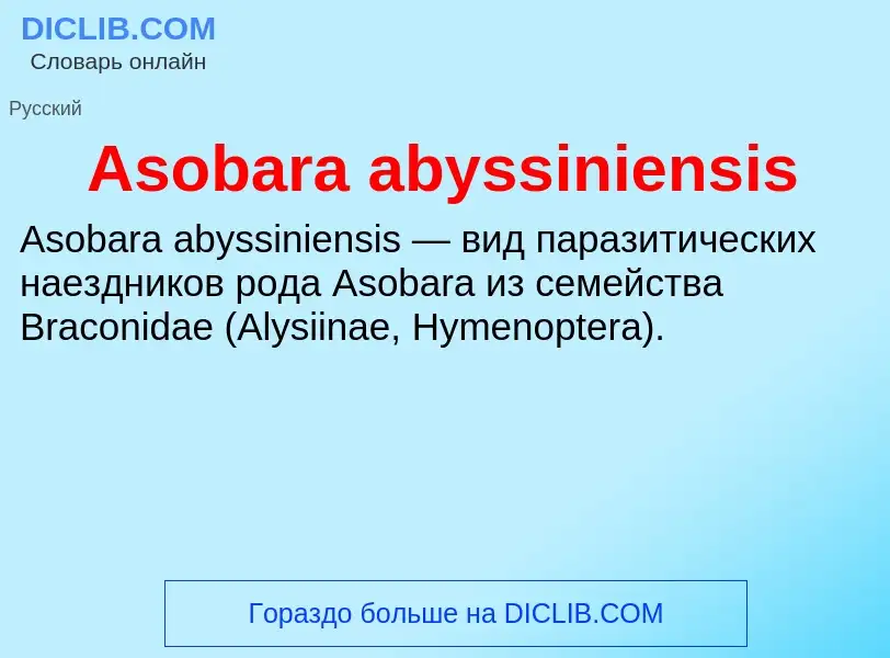 What is Asobara abyssiniensis - definition