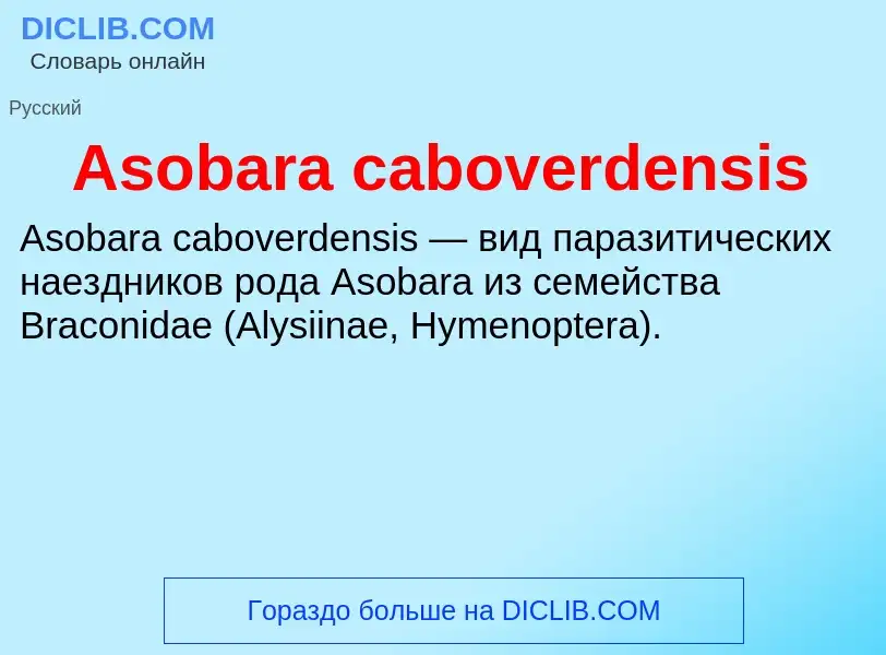 Was ist Asobara caboverdensis - Definition