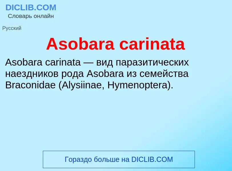 What is Asobara carinata - definition