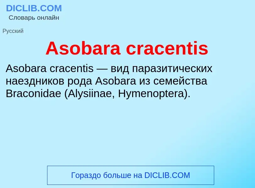 Τι είναι Asobara cracentis - ορισμός