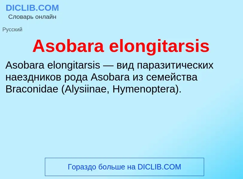 Τι είναι Asobara elongitarsis - ορισμός