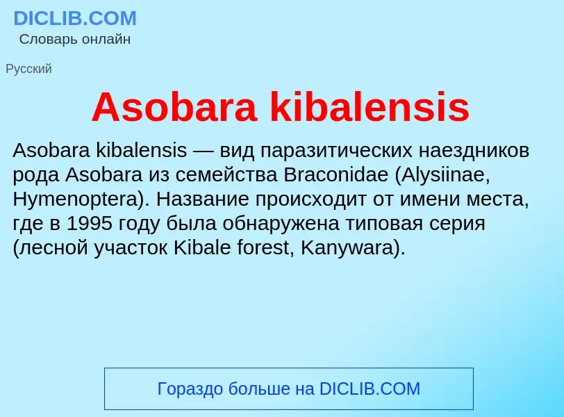 What is Asobara kibalensis - definition