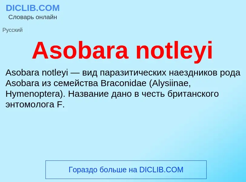 Τι είναι Asobara notleyi - ορισμός