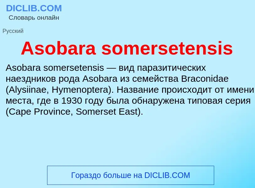 What is Asobara somersetensis - definition