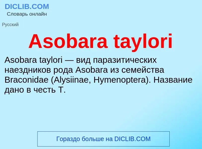 Τι είναι Asobara taylori - ορισμός