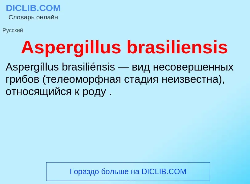 What is Aspergillus brasiliensis - definition