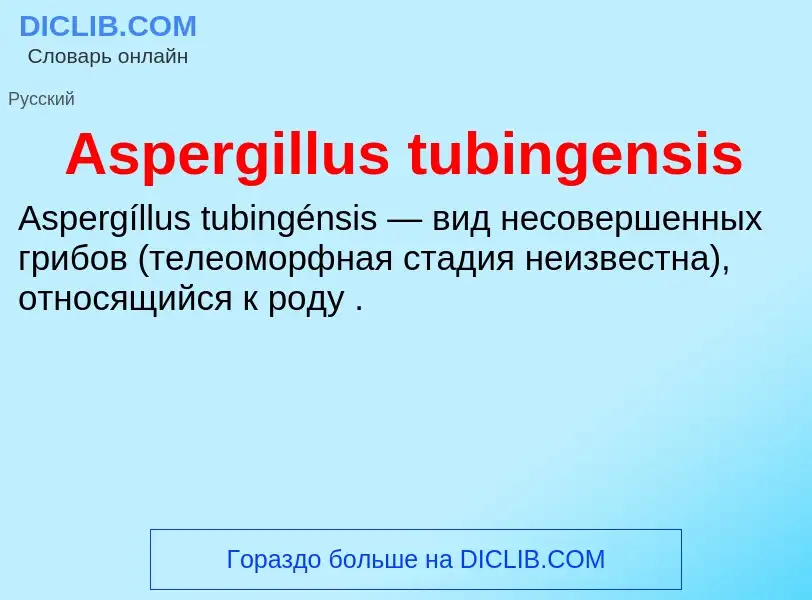 Τι είναι Aspergillus tubingensis - ορισμός