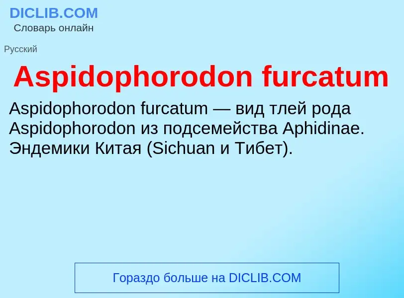 Τι είναι Aspidophorodon furcatum - ορισμός