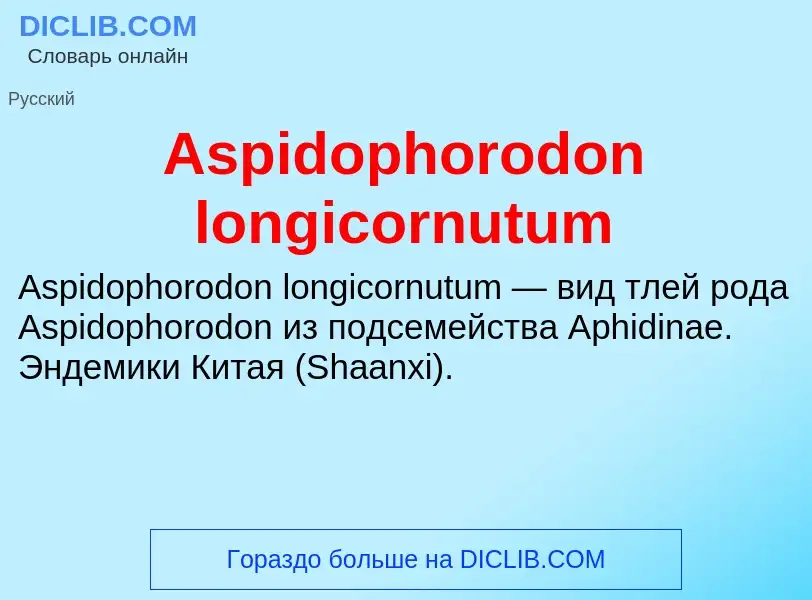 What is Aspidophorodon longicornutum - definition