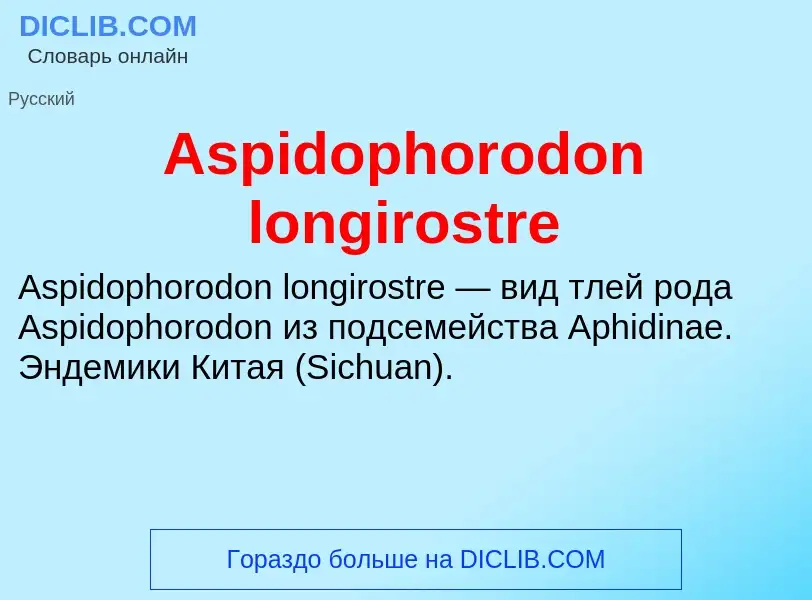 Τι είναι Aspidophorodon longirostre - ορισμός