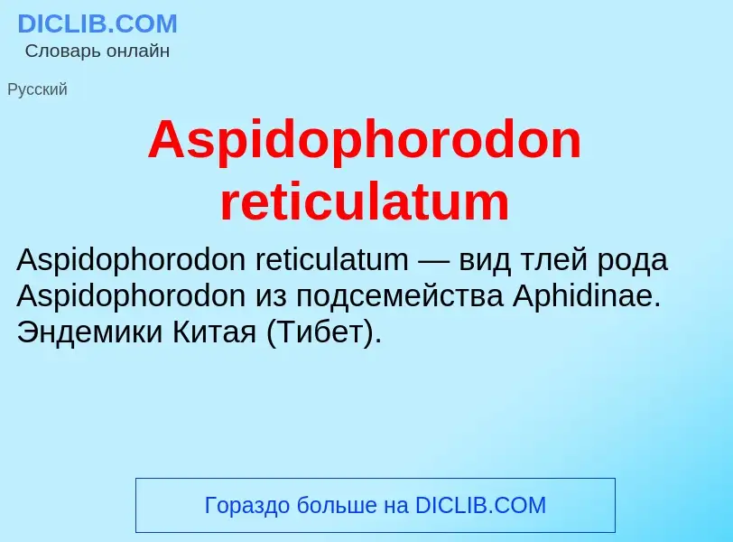 What is Aspidophorodon reticulatum - definition