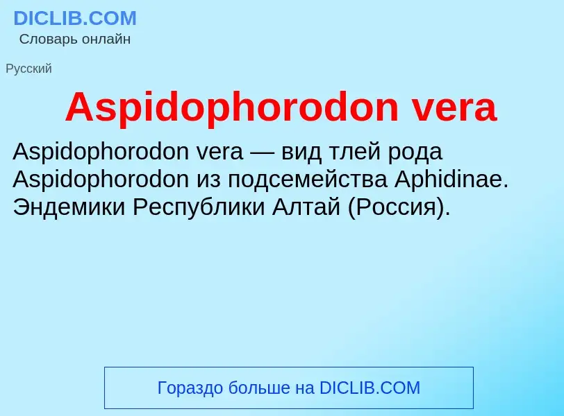 What is Aspidophorodon vera - definition